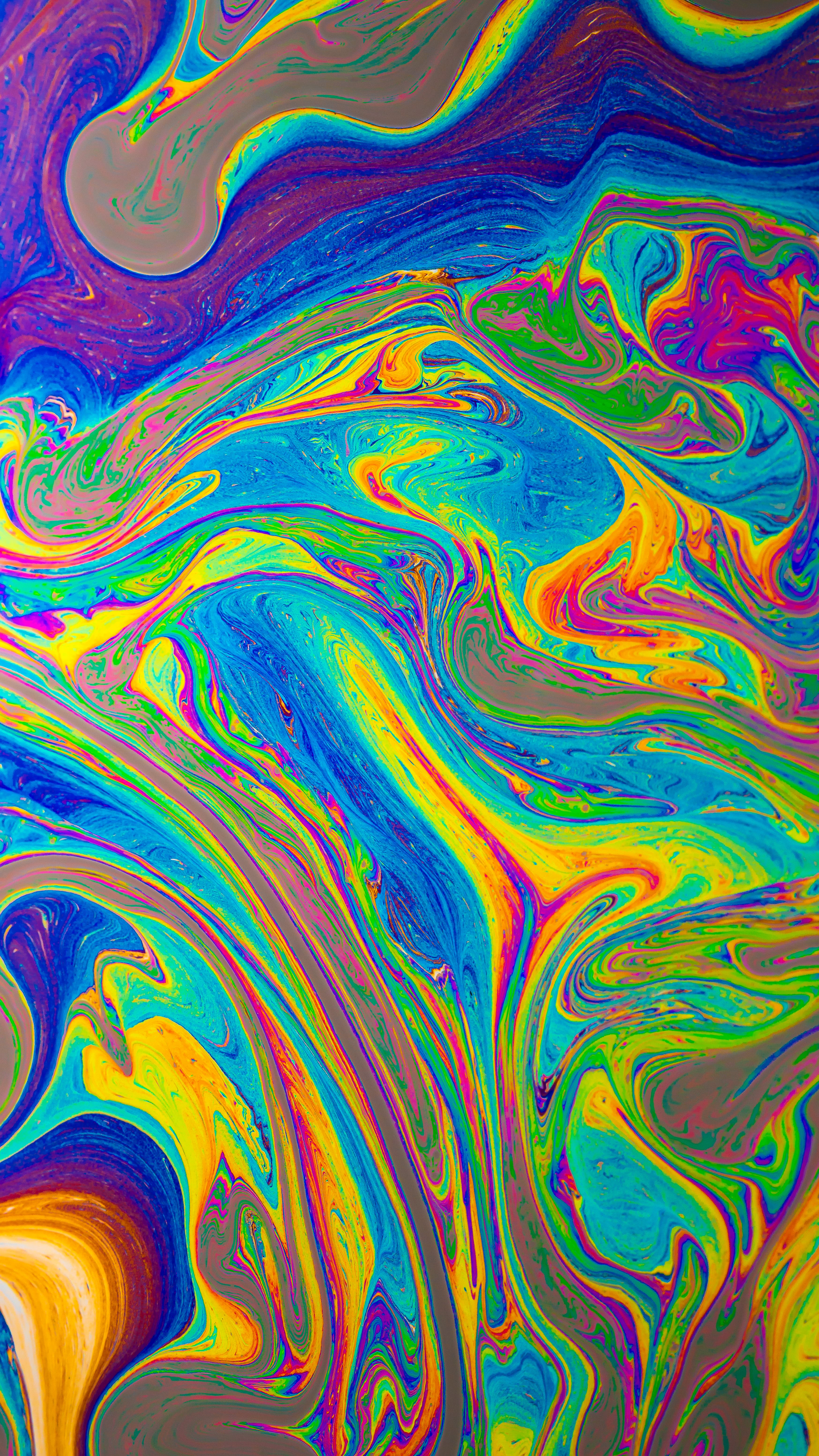 multicolored painting