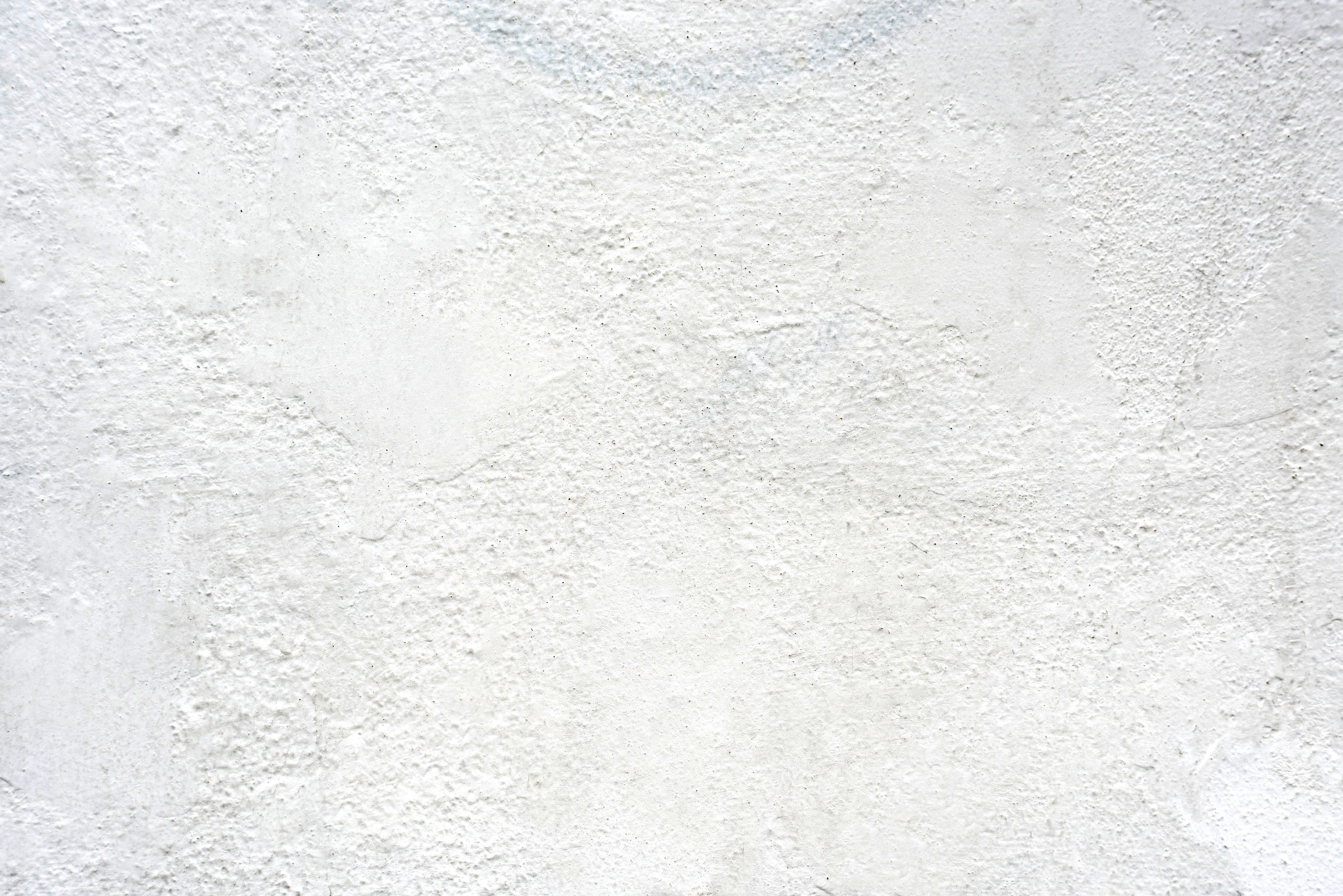 a black and white cat laying on top of a white wall